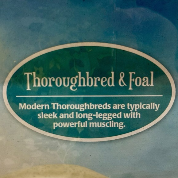 GENUINE Breyer Freedom Series Racing The Wind, Horse & Foal Set, NIB - Picture 6 of 6